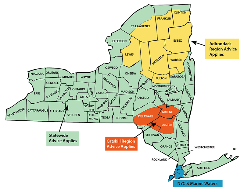 Image showing a map of New York State fish advisory regions. The Adirondack Region includes Essex, Warren, Hamilton, and Fulton counties and parts of Clinton, Franklin, St. Lawrence, Herkimer, Saratoga, and Lewis counties. The Catskill Region includes parts of Greene, Ulster, Delaware, and Sullivan counties. The New York City and Marine Waters region includes the five New York City boroughs and advice for all marine waters.  For waters without specific advisories in all other counties, follow the statewide advice.