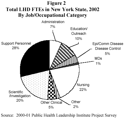 total LHD FTEs in New York State, 2002 by job category