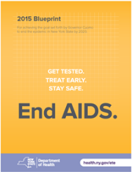 Blueprint for Ending the AIDS Epidemic in NYS