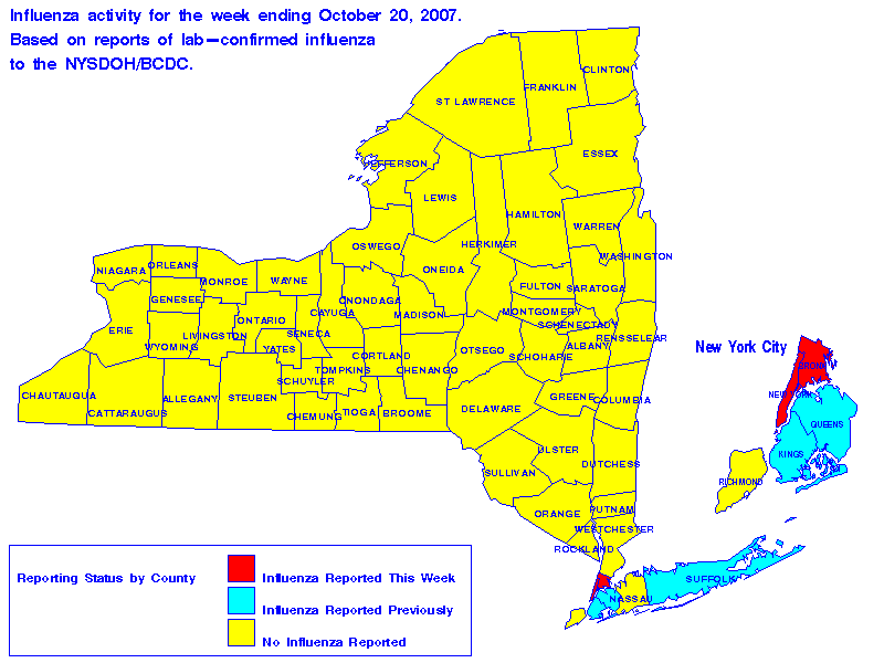 Map of flu activity in New York State for the week ending 10-20-2007