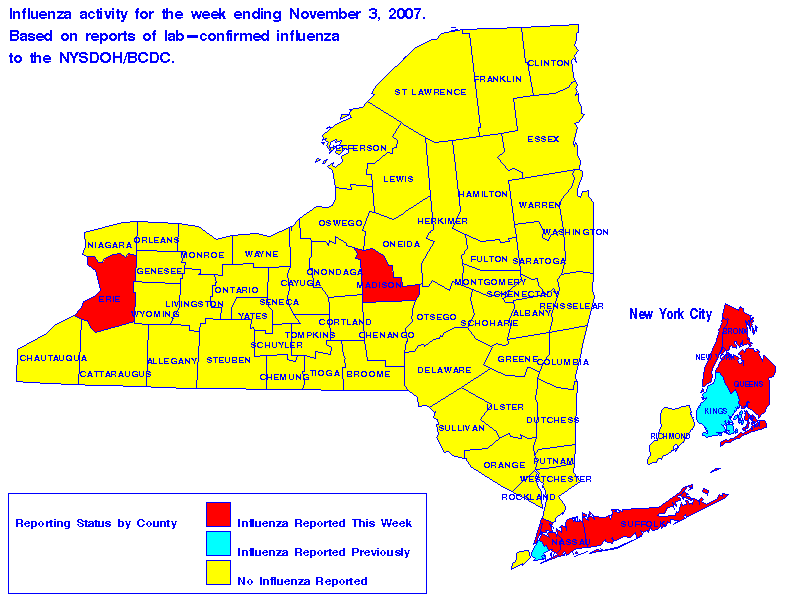 Map of flu activity in New York State for the week ending 11-03-2007