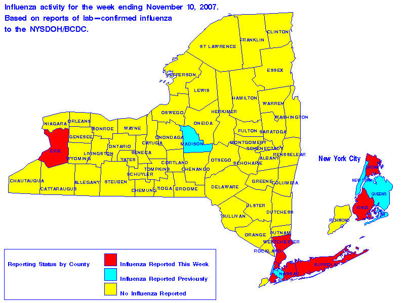 Map of flu activity in New York State for the week ending 11-10-2007