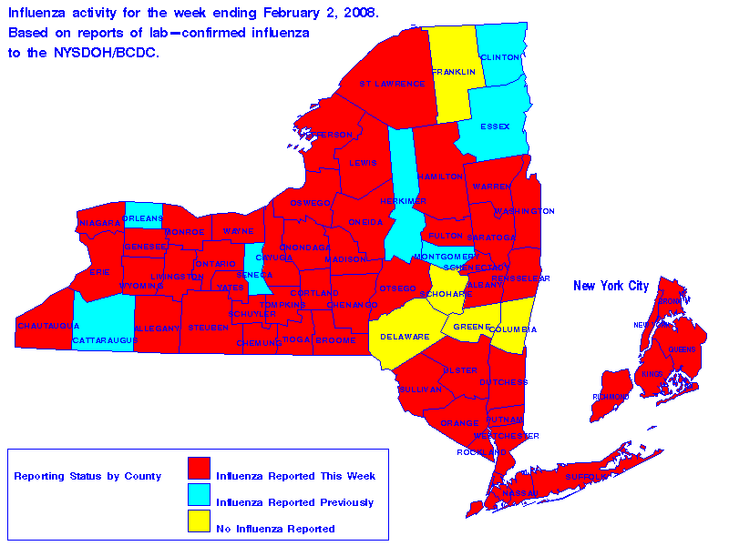 Map of flu activity in New York State for the week ending 02-02-2008