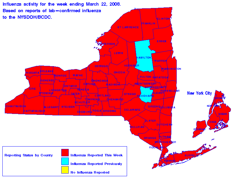 Map of flu activity in New York State for the week ending 03-22-2008