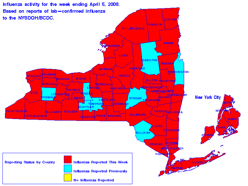 Map of flu activity in New York State for the week ending 04-05-2008