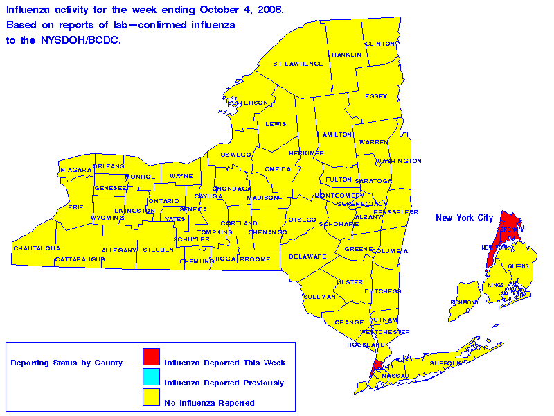 Map of flu activity in New York State for the week ending 10-04-2008