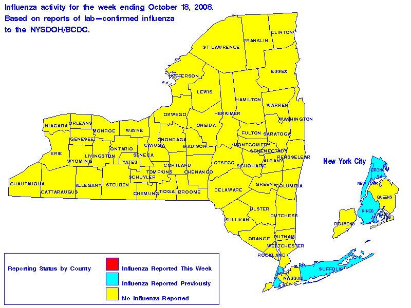 Map of flu activity in New York State for the week ending 10-18-2008