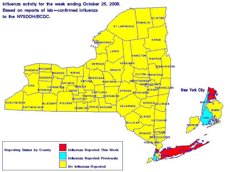Map of flu activity in New York State for the week ending 10-25-2008