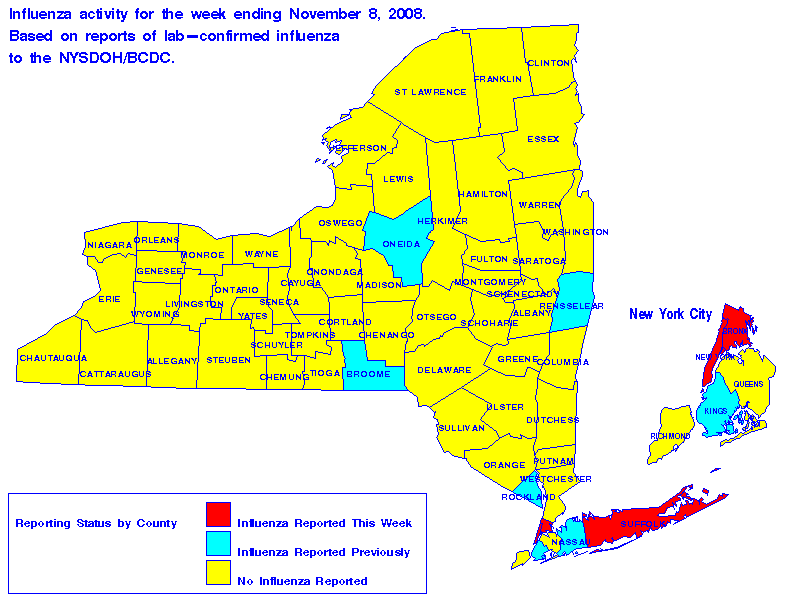 Map of flu activity in New York State for the week ending 11-08-2008