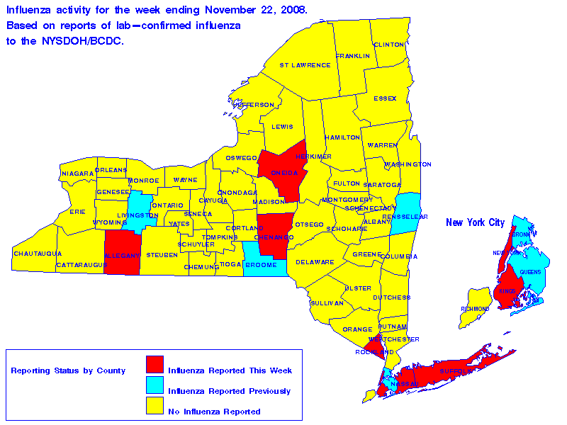 Map of flu activity in New York State for the week ending 11-22-2008