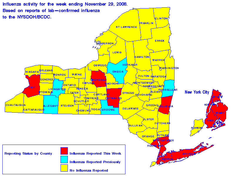 Map of flu activity in New York State for the week ending 11-29-2008