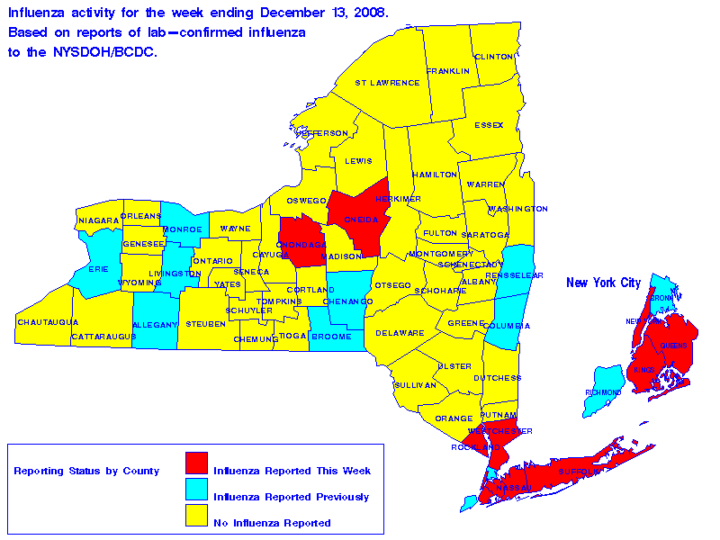 Map of flu activity in New York State for the week ending 12-13-2008