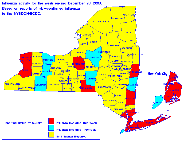 Map of flu activity in New York State for the week ending 12-20-2008