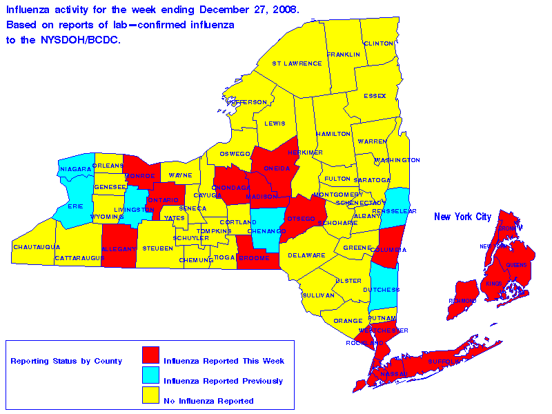 Map of flu activity in New York State for the week ending 12-27-2008