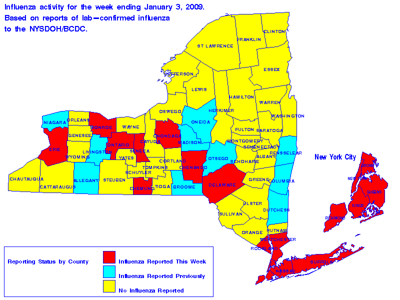 Map of flu activity in New York State for the week ending 01-03-2009