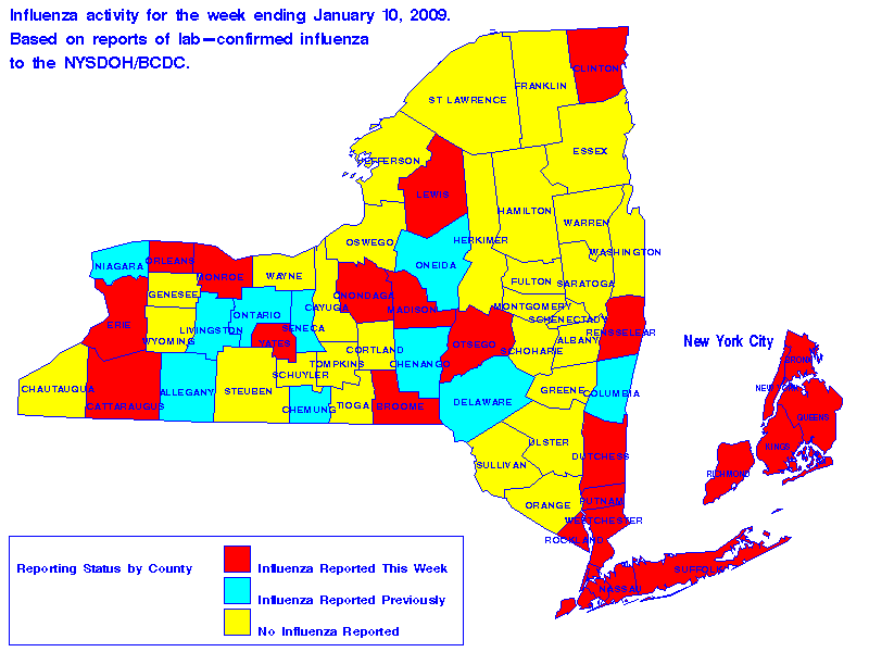 Map of flu activity in New York State for the week ending 01-10-2009