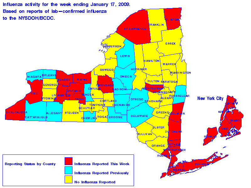 Map of flu activity in New York State for the week ending 01-17-2009