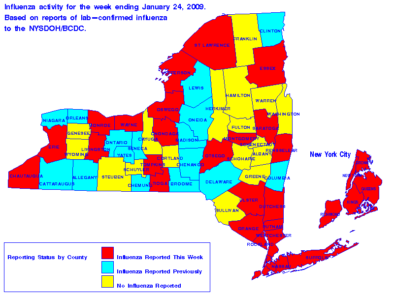 Map of flu activity in New York State for the week ending 01-24-2009
