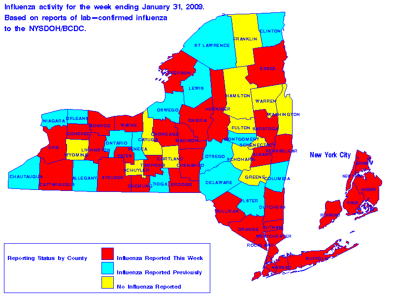 Map of flu activity in New York State for the week ending 01-31-2009