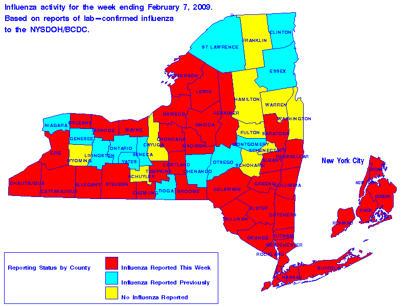 Map of flu activity in New York State for the week ending 02-07-2009