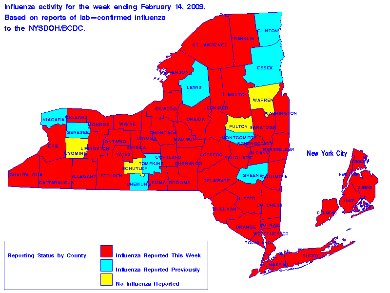 Map of flu activity in New York State for the week ending 02-14-2009