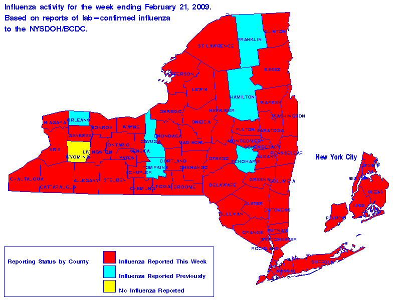Map of flu activity in New York State for the week ending 02-21-2009