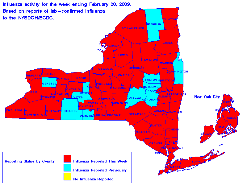 Map of flu activity in New York State for the week ending 02-28-2009