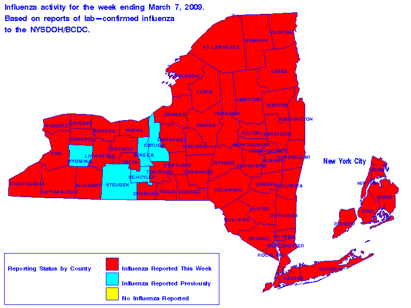 Map of flu activity in New York State for the week ending 03-07-2009