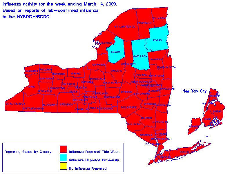 Map of flu activity in New York State for the week ending 03-14-2009