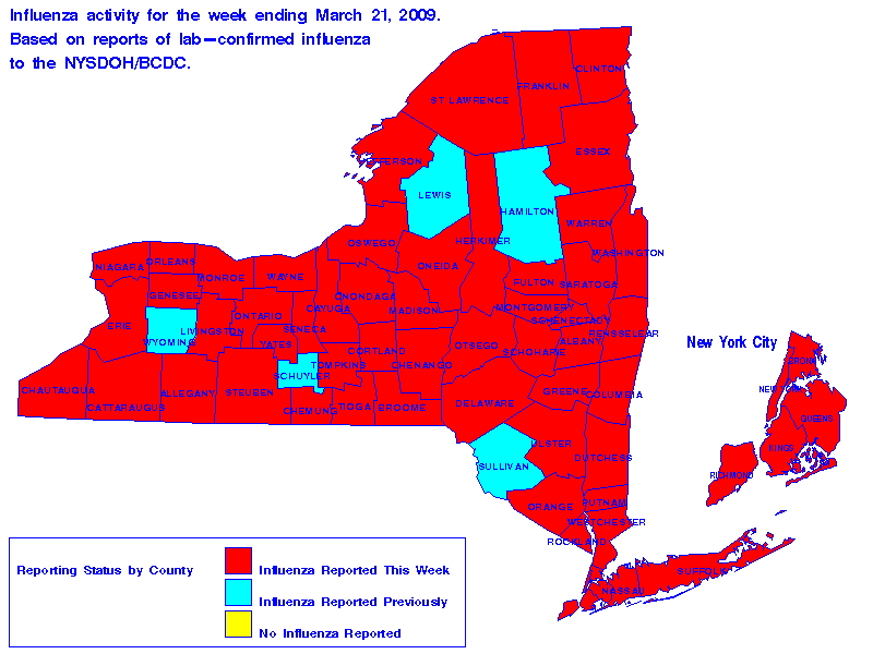 Map of flu activity in New York State for the week ending 03-21-2009