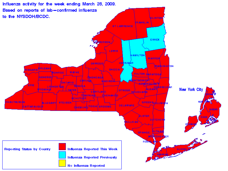 Map of flu activity in New York State for the week ending 03-28-2009