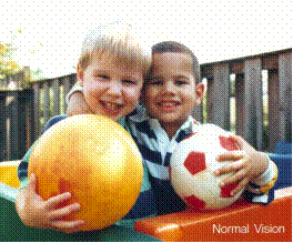 Two boys with normal vision.