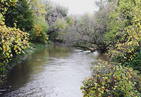 photo of Eighteen Mile Creek