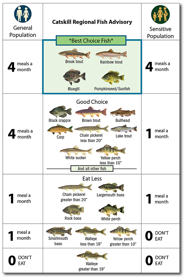 Image showing illustration of Catskill Regional Advice.  Best choice fish, 4 meals per month for everyone in the family: brook trout, rainbow trout, bluegill, pumpkinseed/sunfish. Good choice fish, 4 meals per month for the general population (people beyond their childbearing years and those who do not bear children) and 1 meal per month for the sensitive population (people who may bear children under 50 and children under 15): black crappie, brown trout, bullhead, carp, chain pickerel less than 20 inches, lake trout, white sucker, yellow perch less than 10 inches, and all other fish; Eat less of the following fish, 1 meal per month for everyone: chain pickerel greater than 20 inches, largemouth bass, rock bass, and white perch; general population eat up to 1 meal per month and sensitive population don't eat: smallmouth bass, walleye less than 19 inches, yellow perch greater than 10 inches, and no one should eat walleye greater than 19 inches.