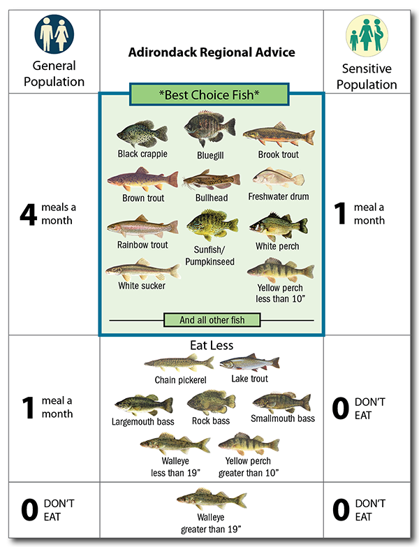 Image showing illustration of Adirondack Regional Advice.  Best choice fish, 4 meals per month for the general population (people beyond their childbearing years and those who do not bear children) and 1 meal per month for the sensitive population (people who may bear children under 50 and children under 15): black crappie, blue gill, brook trout, brown trout, bullhead, freshwater drum, rainbow trout, sunfish/pumpkinseed, white perch, white sucker, yellow perch less than 10 inches, and all other fish; Eat less of the following fish, 1 meal per month for for the general population and don't eat for the sensitive population: chain pickerel, lake trout, largemouth bass, rock bass, smallmouth bass, walleye less than 19 inches, and yellow perch greater than 10 inches; and no one should eat walleye greater than 19 inches.