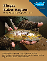 Link to view Finger Lakes Region Brochure