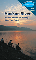 Link to view Hudson River Brochure