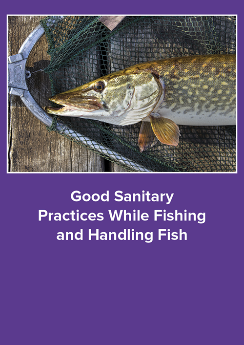 Good Sanitary Practices While Fishing and Handling Fish