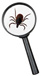 magnifying glass with tick