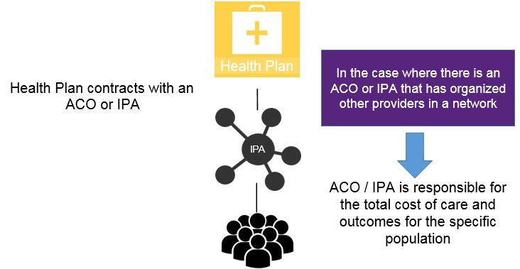 One Contracting Option for Total Cost of Care: An IPA or ACO Takes Responsibility for a Network