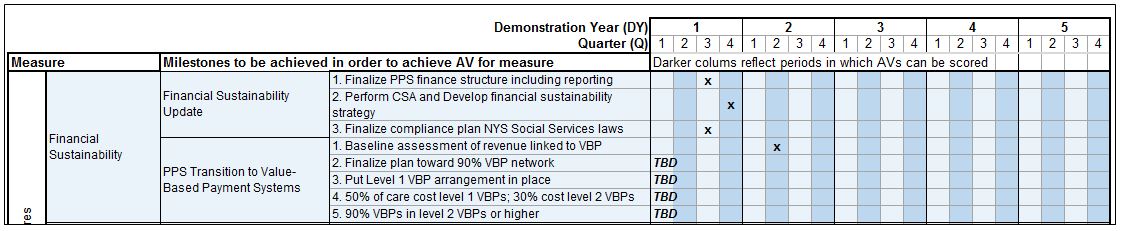 Example of Financial Sustainability Measure Overview of Domain 1 Milestones and Target Dates