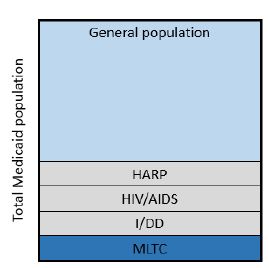 Total Medicaid Population