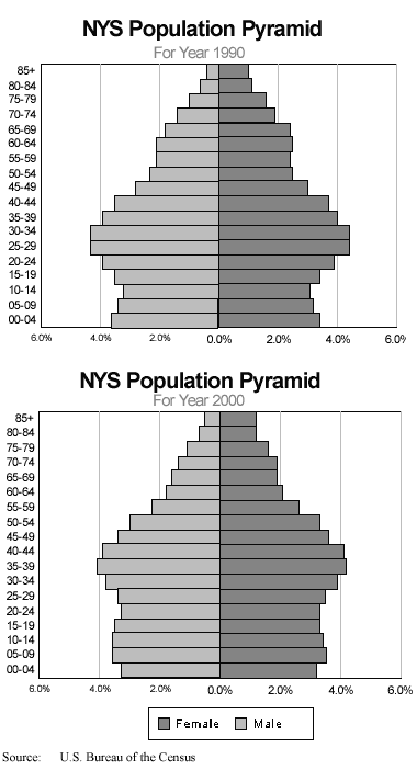 NYS population pyramid
