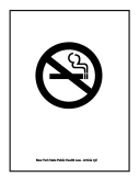 Graphic - No Smoking