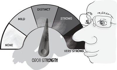 graphic showing how folks measure different odors
